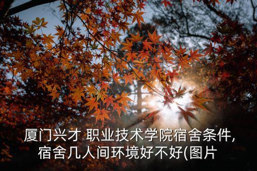  厦门兴才 职业技术学院宿舍条件,宿舍几人间环境好不好(图片