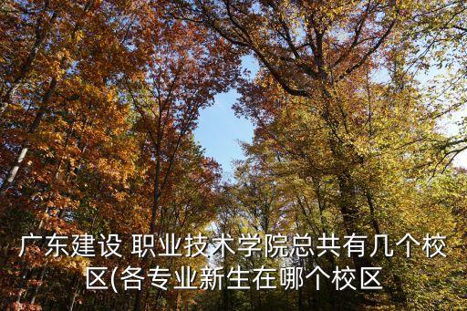 广东建设 职业技术学院总共有几个校区(各专业新生在哪个校区