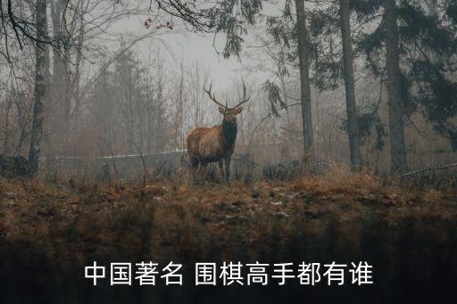 中国著名 围棋高手都有谁