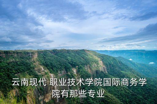  云南现代 职业技术学院国际商务学院有那些专业