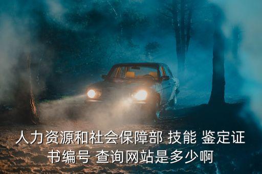 人力资源和社会保障部 技能 鉴定证书编号 查询网站是多少啊