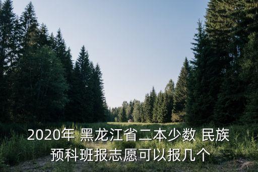 2020年 黑龙江省二本少数 民族 预科班报志愿可以报几个