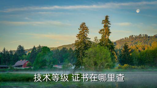  技术等级 证书在哪里查