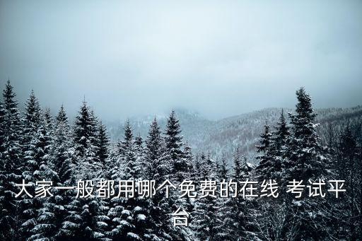 大家一般都用哪个免费的在线 考试平台