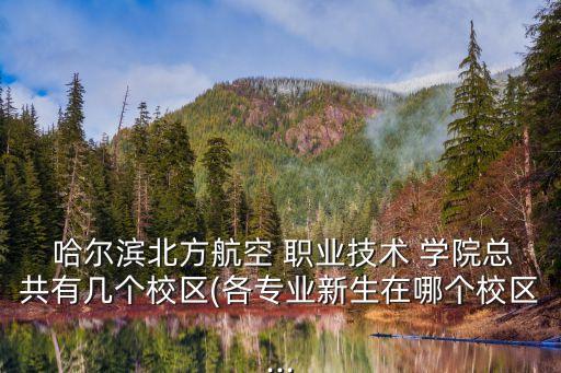  哈尔滨北方航空 职业技术 学院总共有几个校区(各专业新生在哪个校区...