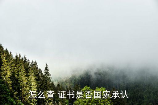 怎么查 证书是否国家承认