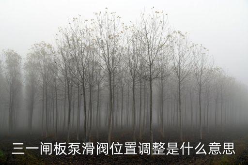 三一闸板泵滑阀位置调整是什么意思