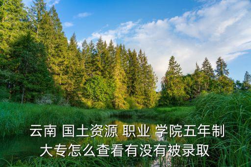  云南 国土资源 职业 学院五年制大专怎么查看有没有被录取