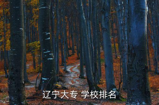 辽宁大专 学校排名