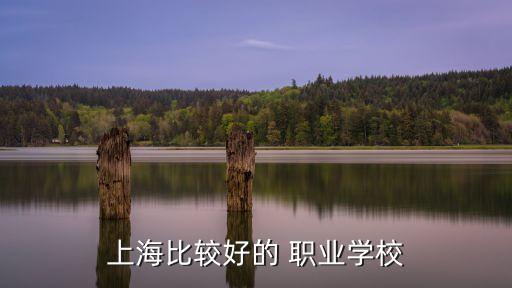 上海比较好的 职业学校
