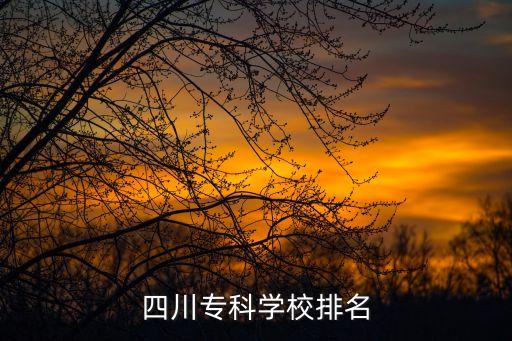 四川专科学校排名