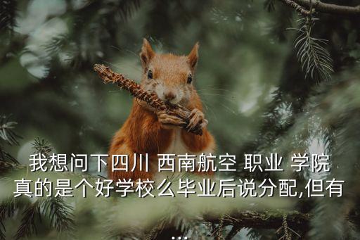 我想问下四川 西南航空 职业 学院真的是个好学校么毕业后说分配,但有...