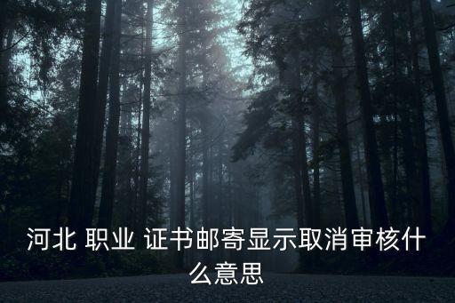 河北 职业 证书邮寄显示取消审核什么意思