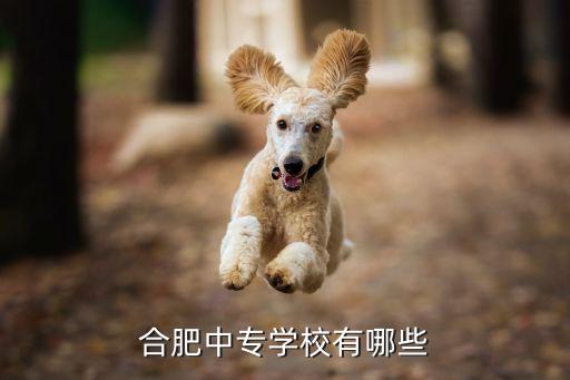 合肥中专学校有哪些