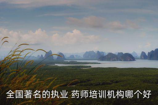 全国著名的执业 药师培训机构哪个好