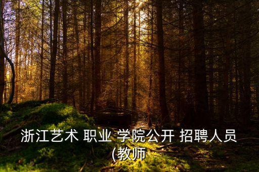 浙江艺术 职业 学院公开 招聘人员(教师