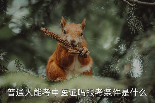 15年医师职业资格考试报名资格