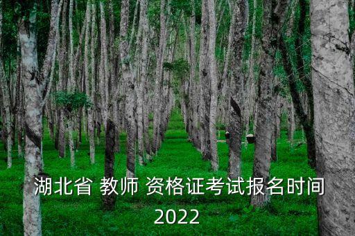 湖北职业教师资格证,职业学校的教师资格证怎么考