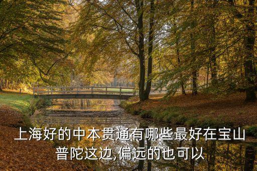  上海好的中本贯通有哪些最好在宝山 普陀这边,偏远的也可以