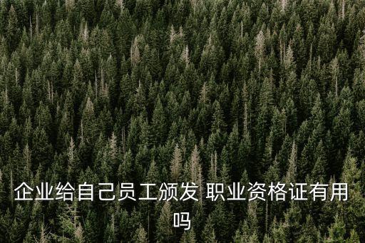 职业职格证有什么用,计算机一级是职业职格证吗