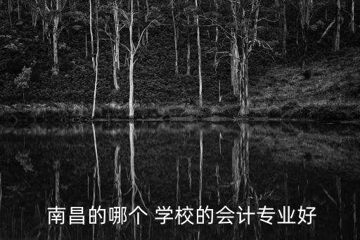  南昌的哪个 学校的会计专业好