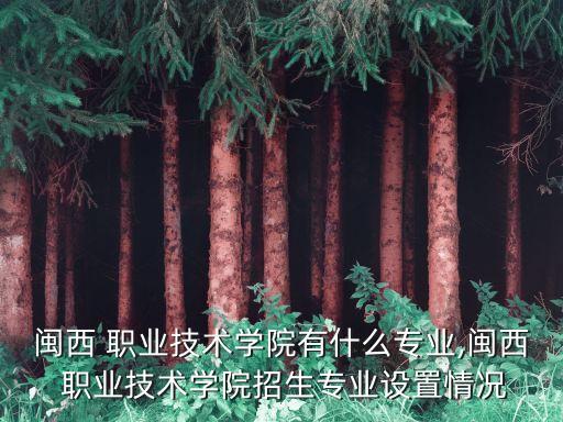 闽西 职业技术学院有什么专业,闽西 职业技术学院招生专业设置情况