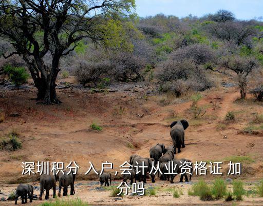 深圳积分 入户,会计从业资格证 加分吗