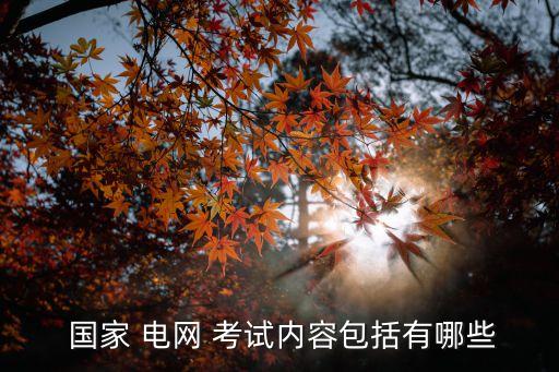  国家 电网 考试内容包括有哪些