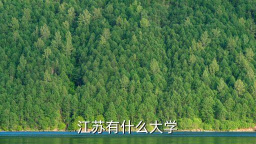 江苏有什么大学