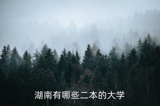 湖南有哪些二本的大学