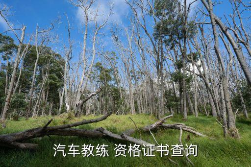 汽车教练 资格证书查询