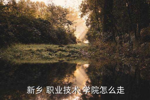  新乡 职业技术 学院怎么走