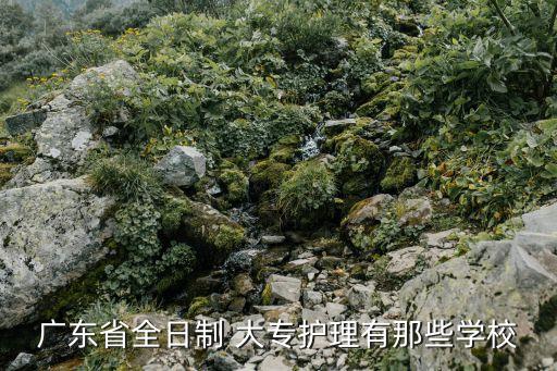 广东省全日制 大专护理有那些学校