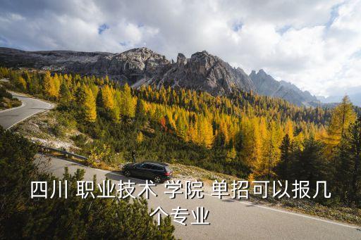 四川 职业技术 学院 单招可以报几个专业