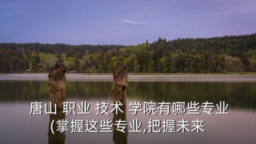  唐山 职业 技术 学院有哪些专业(掌握这些专业,把握未来