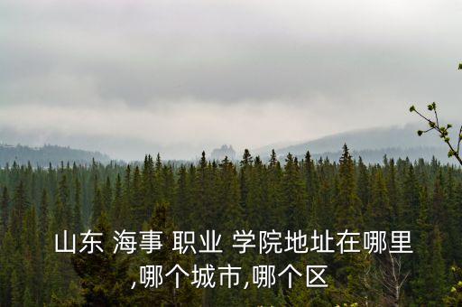 山东海事职业学院中职学院