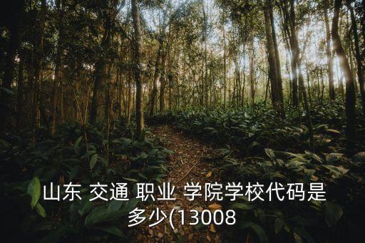山东交通职业学院学院