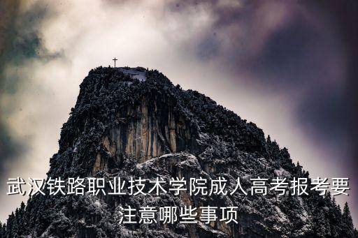 武汉职业技术学院成教