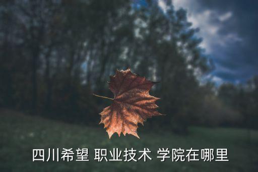  四川希望 职业技术 学院在哪里