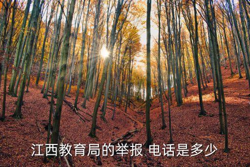 江西教育局的举报 电话是多少