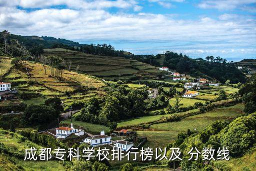 四川财经职业学院分数 65533