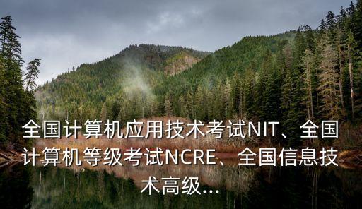 全国计算机应用技术考试NIT、全国计算机等级考试NCRE、全国信息技术高级...