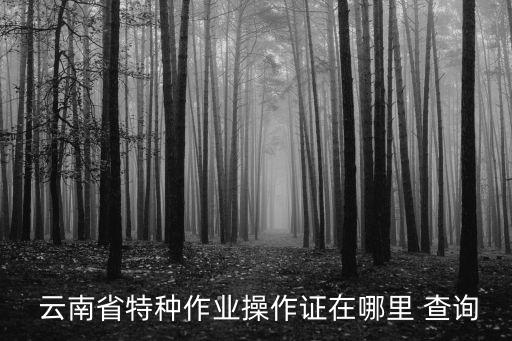  云南省特种作业操作证在哪里 查询