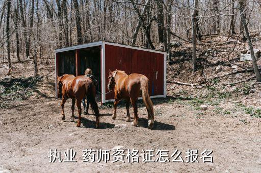 沈阳职业药师求职,沈阳执业药师报考条件