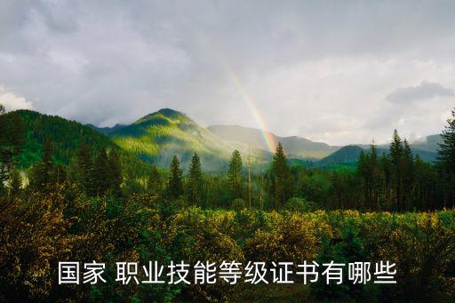 国家 职业技能等级证书有哪些