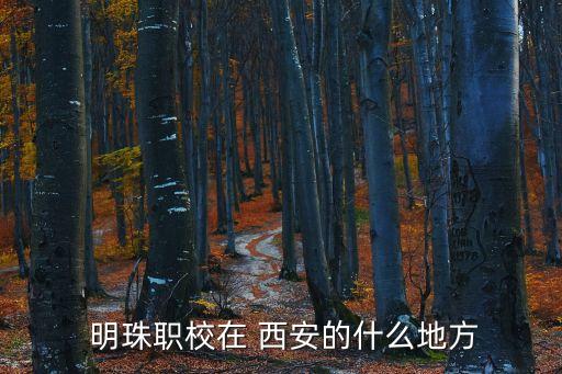 西安明珠职业学校