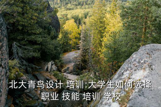 北大青鸟设计 培训:大学生如何选择 职业 技能 培训 学校