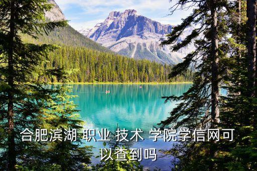 合肥滨湖 职业 技术 学院学信网可以查到吗