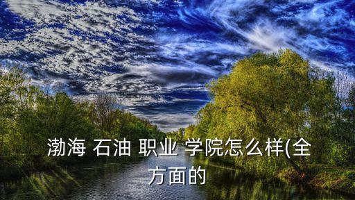  渤海 石油 职业 学院怎么样(全方面的
