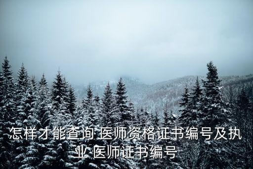 医师职业编码,职业医师资格证编码
